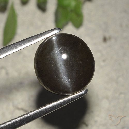 2.72克拉天然黑色Cat's Eye Scapolite，圆形切割，8.23毫米，半透明
