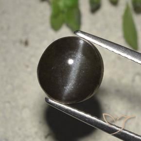 2.72克拉天然黑色Cat's Eye Scapolite，圆形切割，8.23毫米，半透明