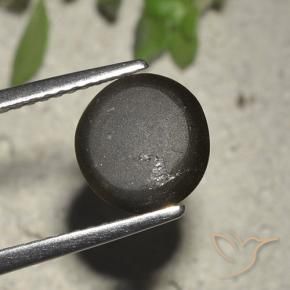 2.72克拉天然黑色Cat's Eye Scapolite，圆形切割，8.23毫米，半透明