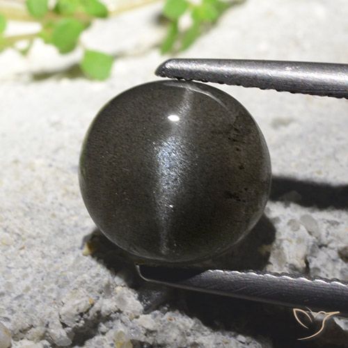 2.71ct 天然 黑色 猫眼方柱石, 圆形的, 半透明