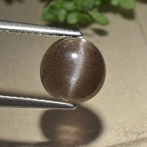 2.28ct 天然 中褐色 猫眼方柱石, 圆形的, 半透明