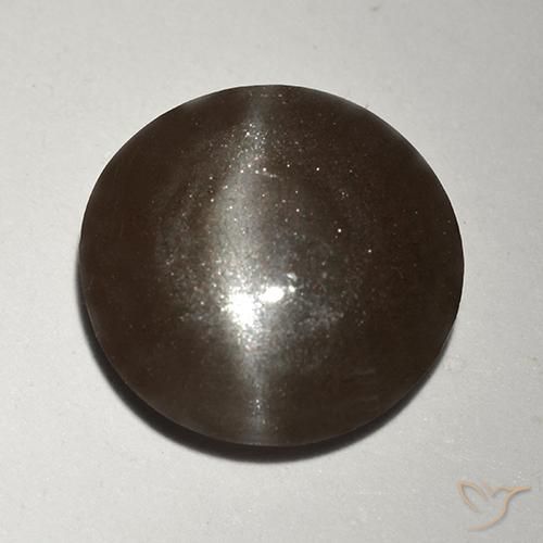 2.99ct 天然 棕褐色 猫眼方柱石, 圆形的, 半透明