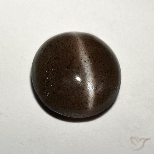 1.50克拉天然棕色Cat's Eye Scapolite，圆形切割，7.71毫米，半透明