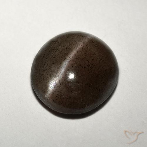 1.50克拉天然棕色Cat's Eye Scapolite，圆形切割，7.71毫米，半透明