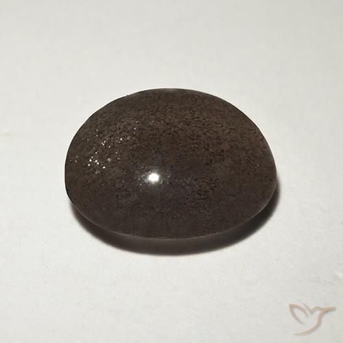 1.50克拉天然棕色Cat's Eye Scapolite，圆形切割，7.71毫米，半透明