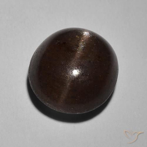 2.89ct 天然 黑色 猫眼方柱石, 圆形的, 半透明