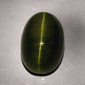 23.57克拉天然绿色Cat's Eye Tourmaline，椭圆形切割，19.7×13.5毫米，不透明