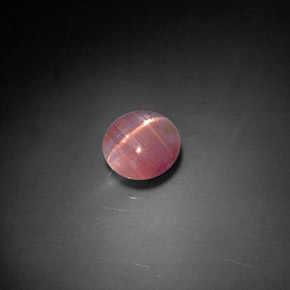 1.04克拉天然粉色Cat's Eye Tourmaline，透明，6.6×6.3毫米，透明/半透明