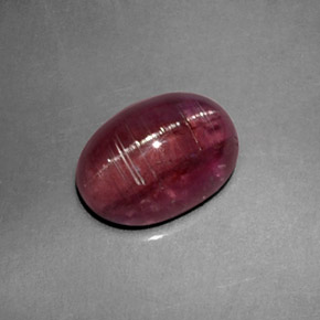 2.61克拉天然粉色Cat's Eye Tourmaline，透明，9.8×7.1毫米，透明/半透明