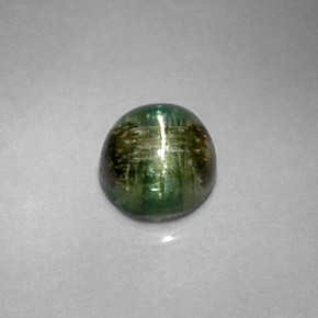 1.20克拉天然绿色Cat's Eye Tourmaline，圆形切割，5.97毫米，不透明