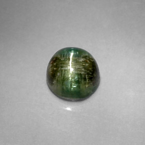 1.20克拉天然绿色Cat's Eye Tourmaline，圆形切割，5.97毫米，不透明