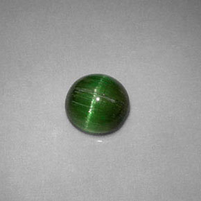 0.85克拉天然绿色Cat's Eye Tourmaline，圆形切割，5.74毫米，不透明