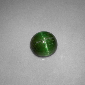 0.85克拉天然绿色Cat's Eye Tourmaline，圆形切割，5.74毫米，不透明