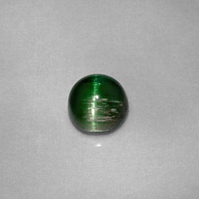 0.67克拉天然绿色Cat's Eye Tourmaline，圆形切割，4.96毫米，不透明