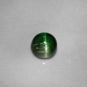 0.67克拉天然绿色Cat's Eye Tourmaline，圆形切割，4.96毫米，不透明