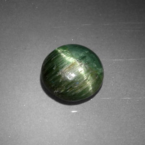 0.87克拉天然绿色Cat's Eye Tourmaline，圆形切割，6.24毫米，不透明