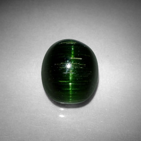 4.67克拉天然绿色Cat's Eye Tourmaline，椭圆形切割，10.5×8.7毫米，不透明