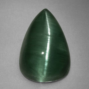 2.46克拉天然绿色Cat's Eye Tourmaline，透明，10×6.5毫米，透明/半透明