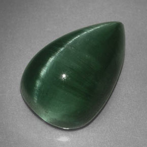 2.46克拉天然绿色Cat's Eye Tourmaline，透明，10×6.5毫米，透明/半透明