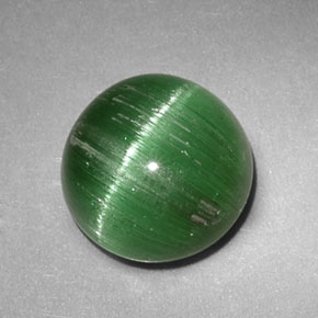 2.47克拉天然绿色Cat's Eye Tourmaline，圆形切割，8.06毫米，半透明