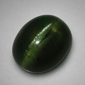 5.99克拉天然绿色Cat's Eye Tourmaline，椭圆形切割，12.2×10.1毫米，半透明