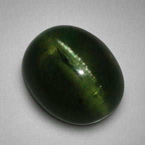 5.99克拉天然绿色Cat's Eye Tourmaline，椭圆形切割，12.2×10.1毫米，半透明