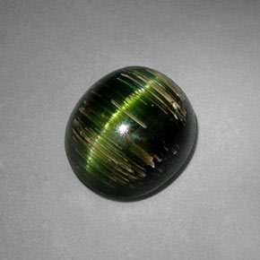 3.24克拉天然绿色Cat's Eye Tourmaline，椭圆形切割，9.2×8.2毫米，半透明