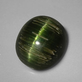 3.24克拉天然绿色Cat's Eye Tourmaline，椭圆形切割，9.2×8.2毫米，不透明