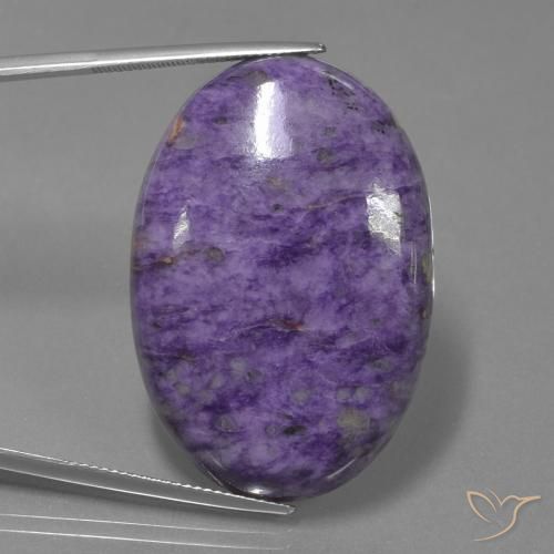 62.41ct 天然 天鹅绒紫紫 硅藻土, 椭圆形, 不透明