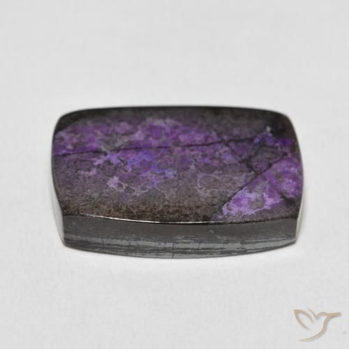 19.90克拉天然硅藻土，软垫，不透明