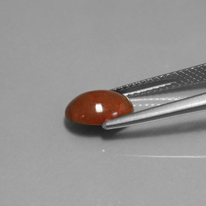 1.04克拉天然多色巧克力欧泊，椭圆形切割，9.1×7.1毫米，不透明