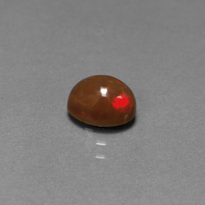 0.77克拉天然多色巧克力欧泊，椭圆形切割，7.1×5毫米，不透明