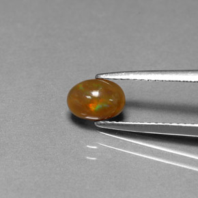 0.54克拉天然巧克力蛋白石，椭圆形切割，不透明