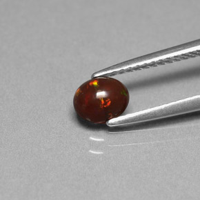 0.43克拉天然巧克力蛋白石，椭圆形切割，不透明