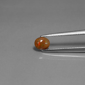 0.34克拉天然巧克力蛋白石，椭圆形切割，不透明