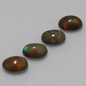 2.14天然多色巧克力欧泊，椭圆形切割，7.1×4.6毫米，半透明