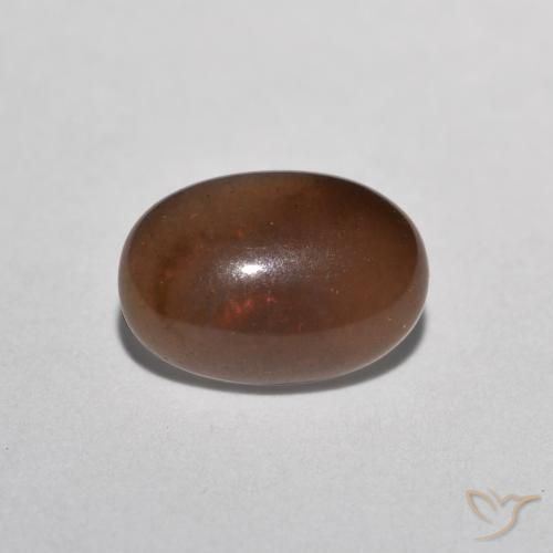 0.49克拉天然巧克力蛋白石，椭圆形，半透明