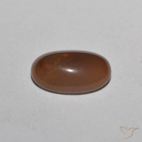 0.49克拉天然巧克力蛋白石，椭圆形，半透明