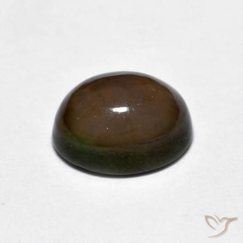 1.56克拉天然巧克力蛋白石，椭圆形，不透明
