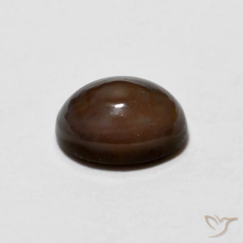 0.67克拉天然巧克力蛋白石，椭圆形，不透明