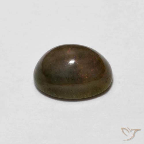 0.66克拉天然巧克力蛋白石，椭圆形，不透明