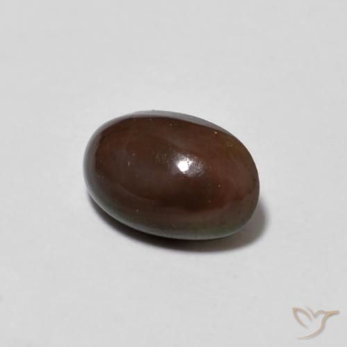 0.50克拉天然巧克力蛋白石，椭圆形，半透明