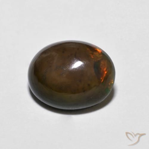 1.15ct 天然 彩色 巧克力蛋白石, 椭圆形, 不透明