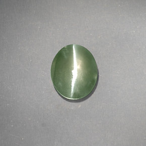 1.03克拉天然绿色Chrysoberyl Cat's Eye，透明，6.4×5.3毫米，透明/半透明