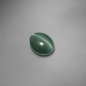1.45克拉天然绿色Chrysoberyl Cat's Eye，椭圆形切割，7.1×5.8毫米，半透明