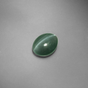 1.45克拉天然绿色Chrysoberyl Cat's Eye，椭圆形切割，7.1×5.8毫米，半透明