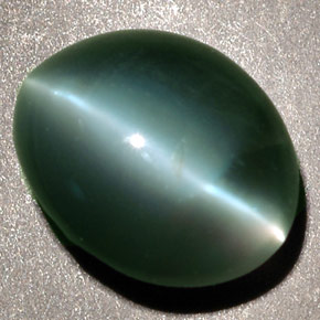 2.48克拉天然绿色Chrysoberyl Cat's Eye，椭圆形切割，8.5×7.1毫米，不透明