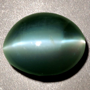 2.48克拉天然绿色Chrysoberyl Cat's Eye，椭圆形切割，8.5×7.1毫米，不透明