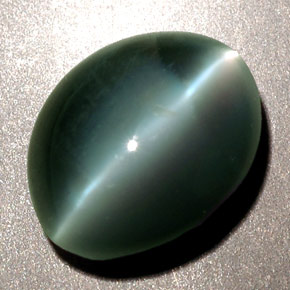 2.48克拉天然绿色Chrysoberyl Cat's Eye，椭圆形切割，8.5×7.1毫米，不透明