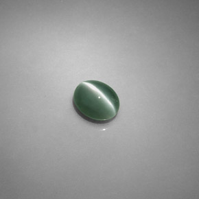 0.75克拉天然绿色Chrysoberyl Cat's Eye，椭圆形切割，5.5×4.4毫米，半透明